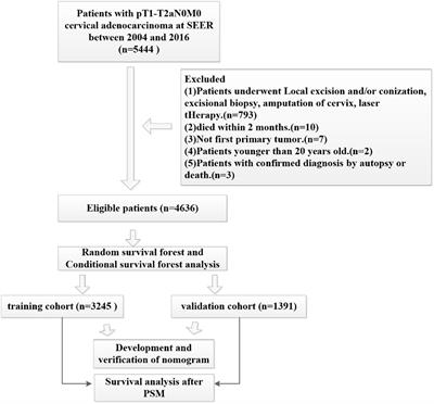 Prognostic analysis of pT1-T2aN0M0 cervical adenocarcinoma based on random survival forest analysis and the generation of a predictive nomogram